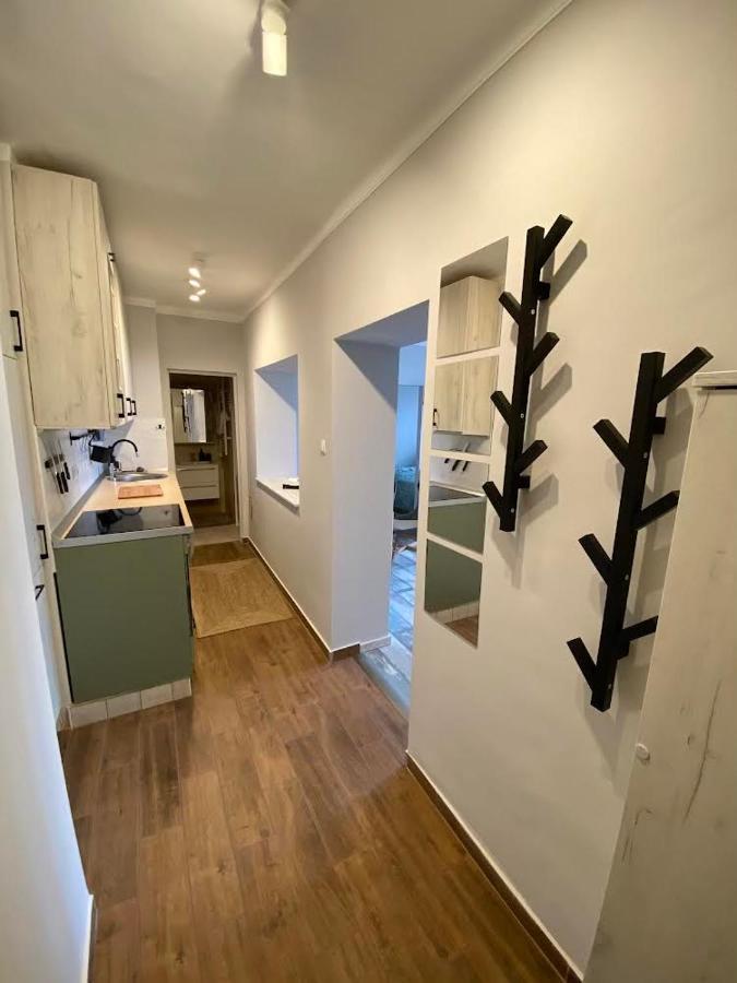 Chill Apartman ミシュコルツ エクステリア 写真